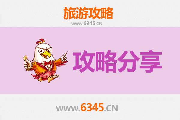克拉玛依白碱滩旅游攻略：跟团与自由行深度对比